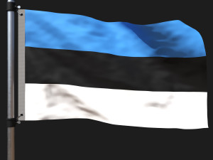 Flag of estonia 3D Модель