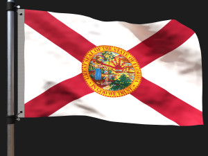 Flag of florida 3D Model