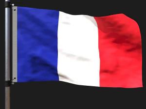 Flag of france 3D Model