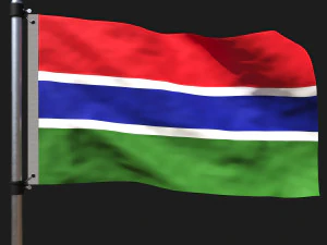 Flag of gambia 3D Model