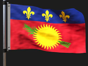 과들루프의 국기 3D 모델