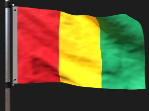 Flag of guinea Modelo 3D