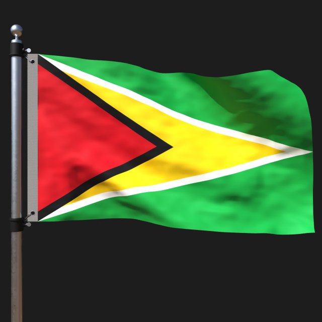 Flag of guyana Model 3D .c4d .max .obj .3ds .fbx .stl .blend 