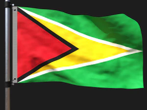 गुयाना का झंडा 3D मॉडल