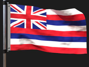 하와이의 국기 3D 모델