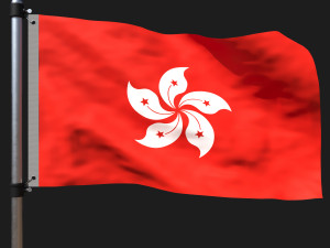 Flag of hongkong Modèle 3D