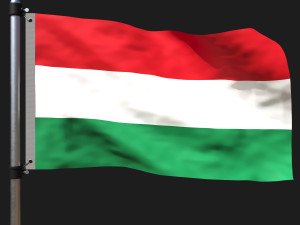 Flag of hungary 3D Model