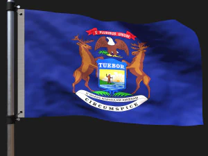 密歇根州旗 3D 模型