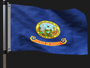 Flag of idaho 3D Модель