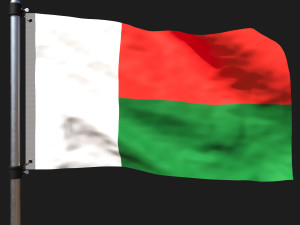Flag of madagascar Modelo 3D