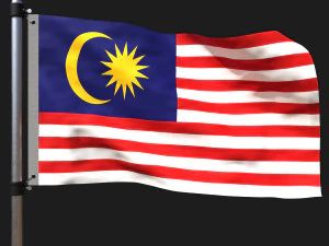 Flag of malaysia 3D Model