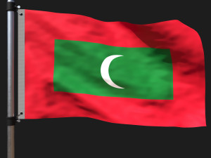 Flag of maldives 3D Model