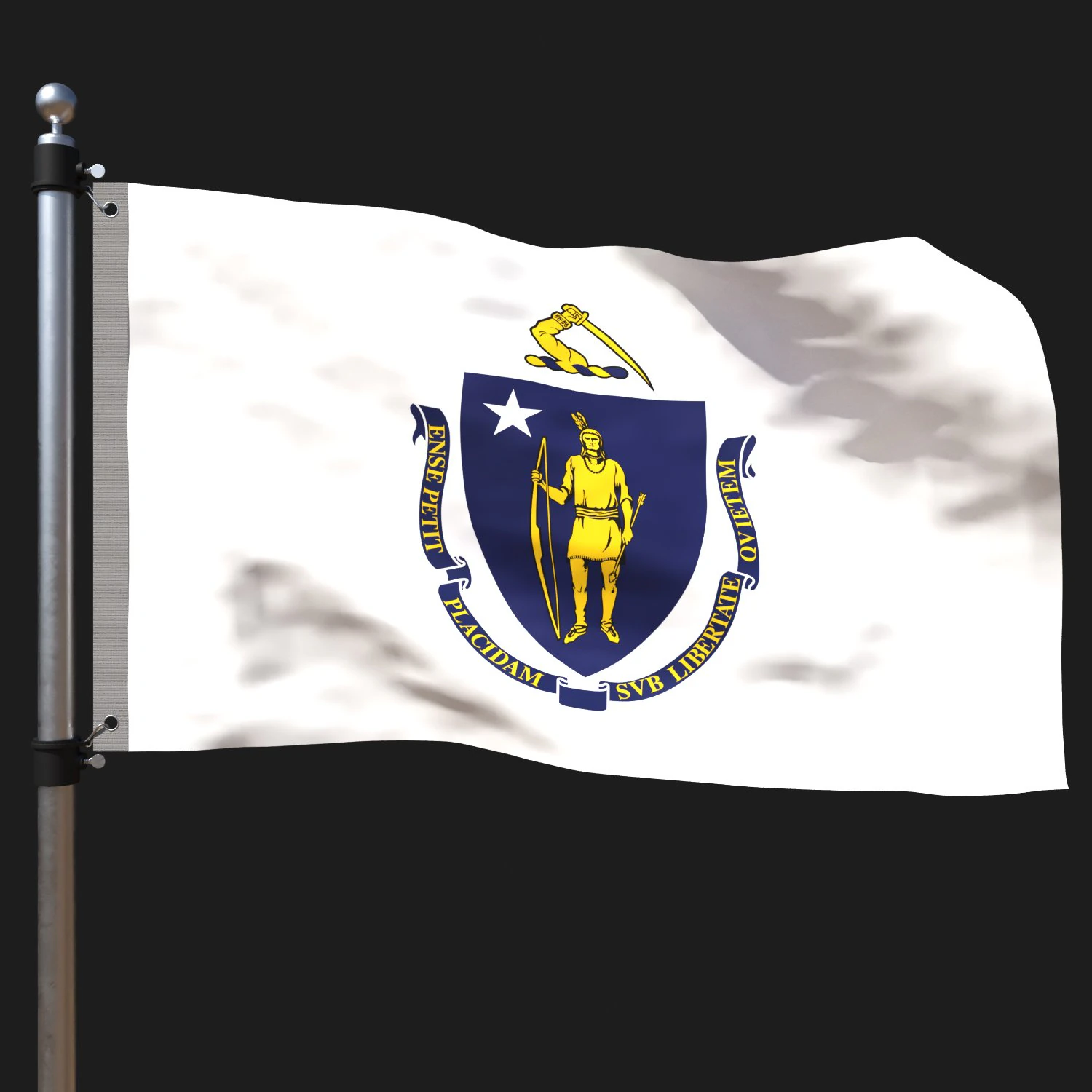 Flag of massachusetts 3D Model .c4d .max .obj .3ds .fbx .stl .blend