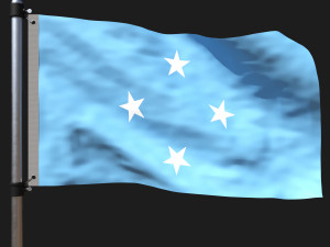 Flag of micronesia 3D Model