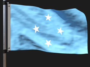 Mikronezya bayrağı 3D Model