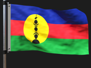 Flag of new caledonia Modelo 3D