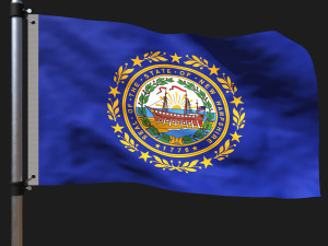 Flag of new hampshire 3D Model