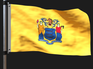 Flag of new jersey 3D Model