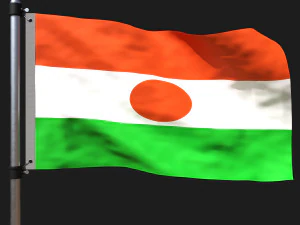 Nijer bayrağı 3D Model