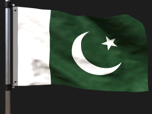 Flag of pakistan 3D Model