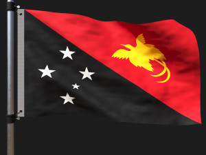 Flag of papua new guinea Model 3D
