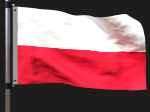 Flag of poland 3D Model