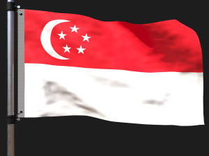 Flag of singapore Modelo 3D
