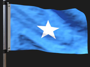 소말리아의 국기 3D 모델