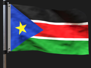Flag of south sudan 3Dモデル