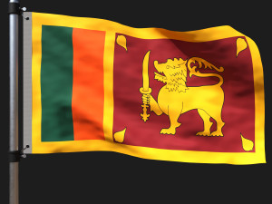 Flag of srilanka Modèle 3D