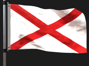 Flag of st patrick 3D 模型