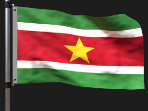 Flag of suriname 3D Model