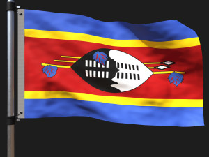 Flag of swaziland flag 3D Model