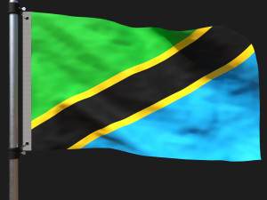 Flag of tanzania Modelo 3D