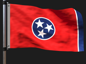Flag of tennessee 3D 모델