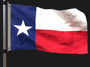 Flag of texas 3D Модель