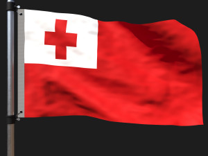 Flag of tonga 3D Model