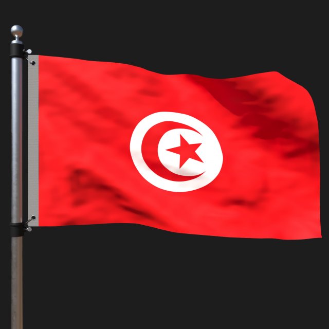 Flag of tunisia 3D Model .c4d .max .obj .3ds .fbx .stl .blend