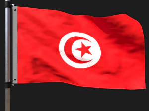 Tunus bayrağı 3D Model