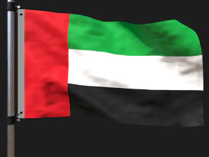 Bandeira dos Emirados Árabes Unidos Modelo 3D