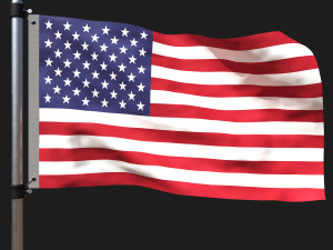 Flag of united states of america Modèle 3D