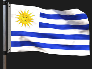 Flag of uruguay 3D Model