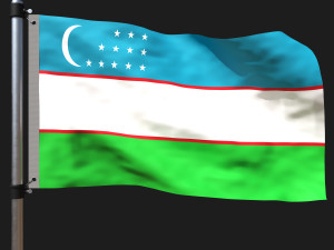 Flag of uzbekistan 3D Model