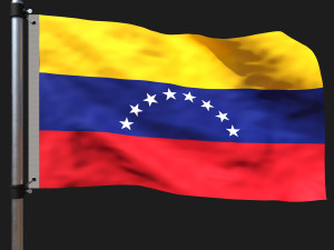 Flag of venezuela 3D Model