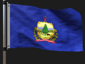 Flag of vermon 3D Model