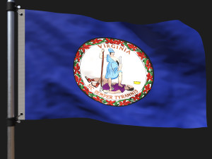 Flag of virginia Modèle 3D