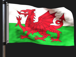 Flag of wales 3D 모델