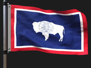 Flag of wyoming 3Dモデル