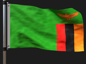 Flag of zambia 3D मॉडल