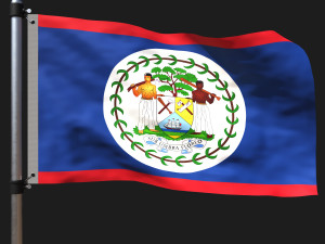 Flag of belize 3D Model